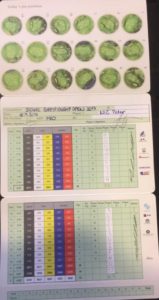Scorecard Petra Niče s novým rekordem hřiště Penati Heritage Scorecard Petra Niče s novým rekordem hřiště Penati Heritage